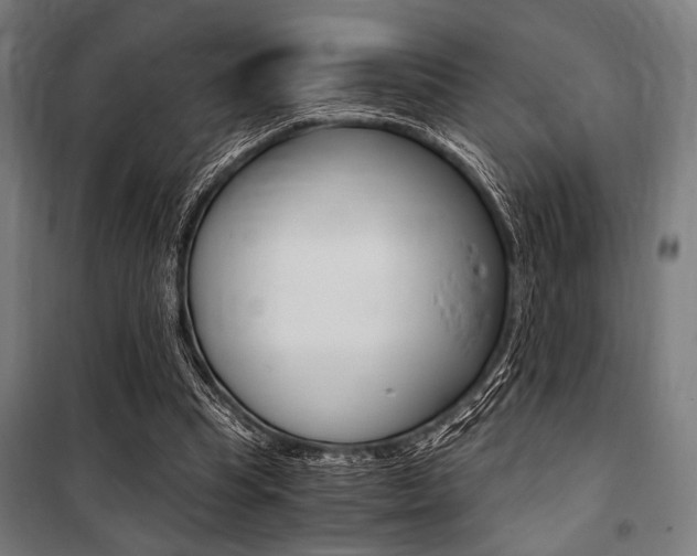 X0000100860345200806200844