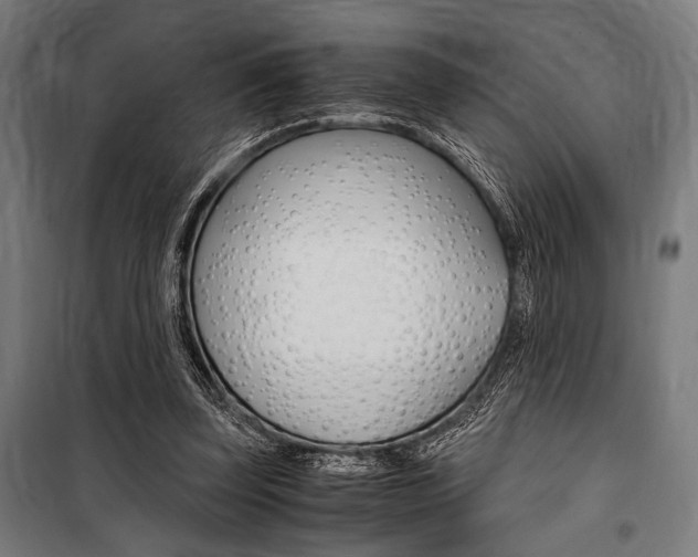 X0000100860347200806200844