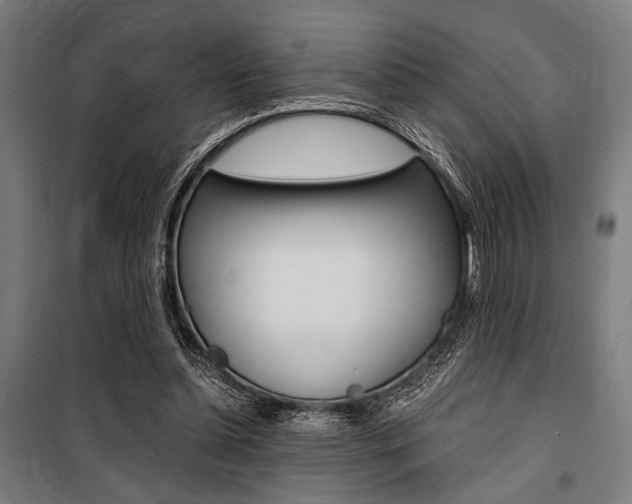 X0000100860348200806200844