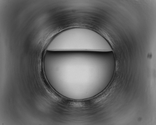 X0000100860349200806200844