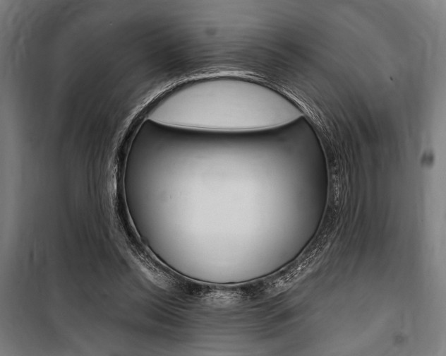 X0000100860350200806200844