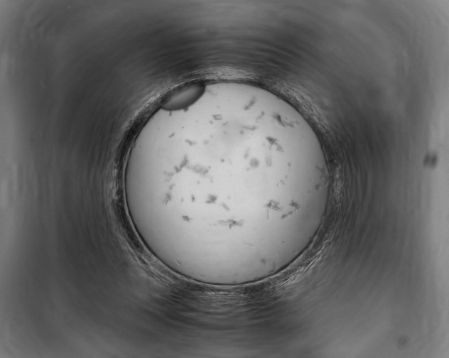 X0000100860351200806200844