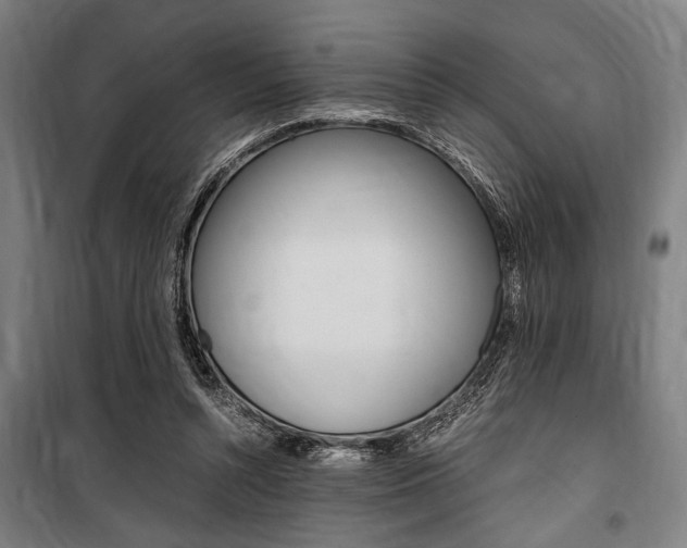 X0000100860352200806200844