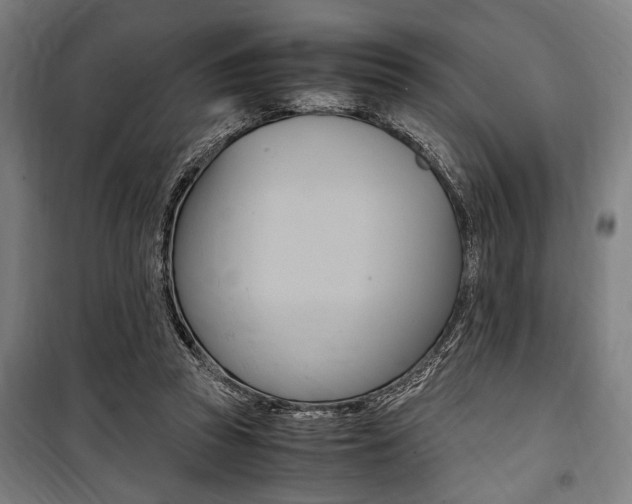 X0000100860353200806200844