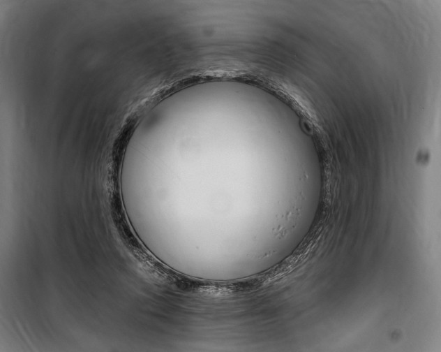 X0000100860354200806200844