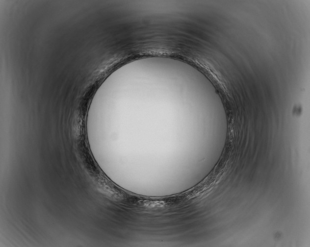 X0000100860355200806200844