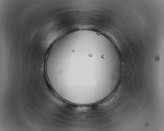 X0000100860357200806200844