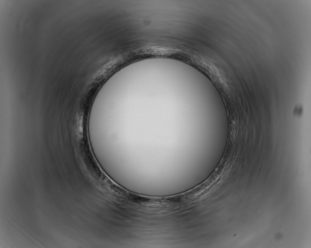 X0000100860358200806200844