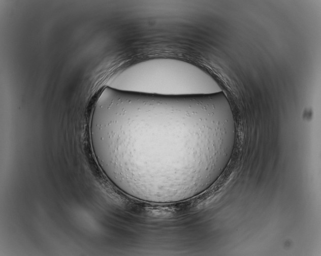 X0000100860359200806200844