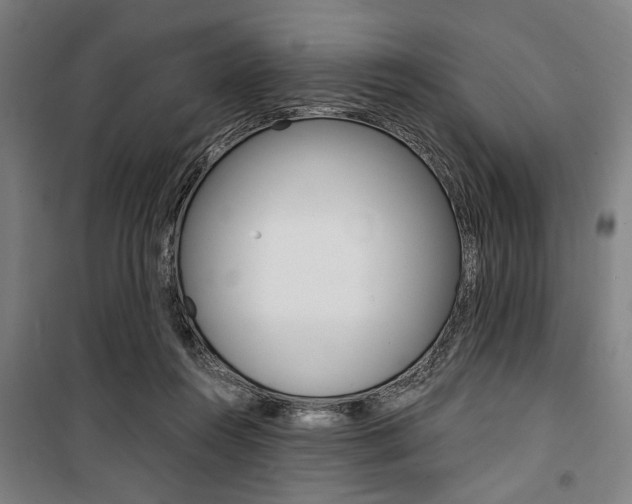 X0000100860360200806200844