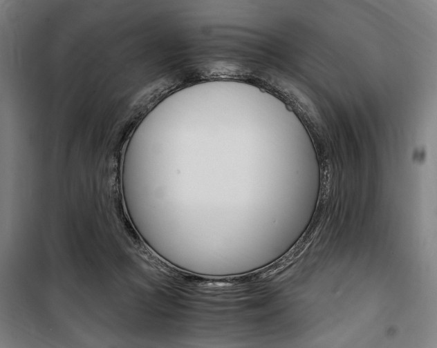 X0000100860361200806200844