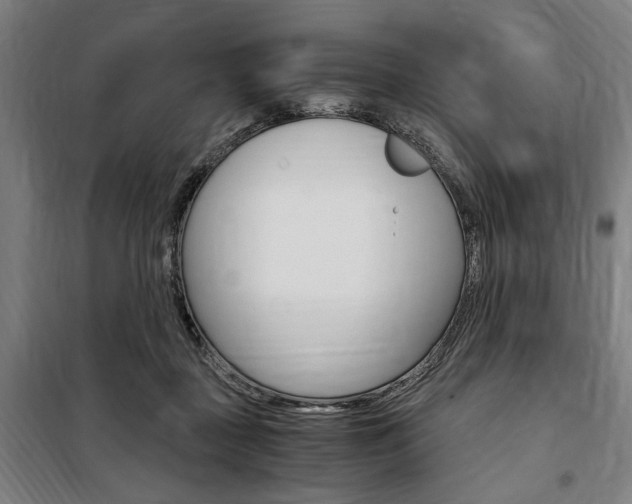 X0000100860363200806200844