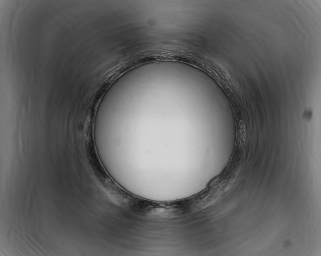 X0000100860364200806200844