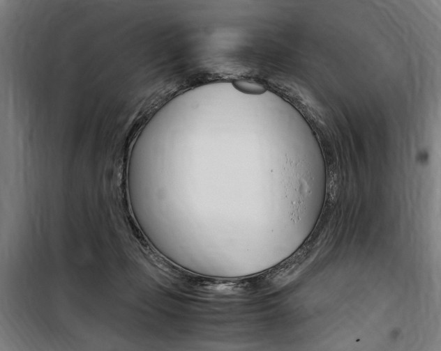 X0000100860365200806200844