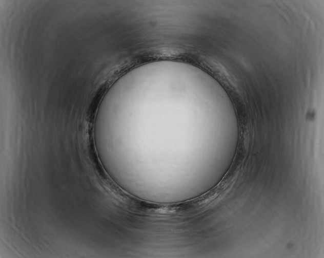 X0000100860366200806200844