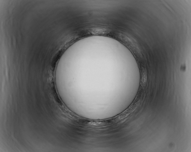 X0000100860367200806200844