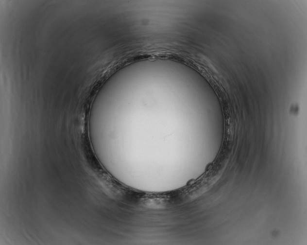 X0000100860368200806200844