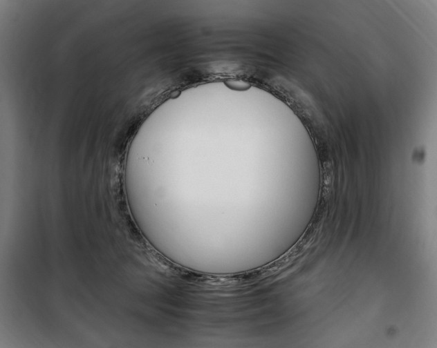 X0000100860369200806200844