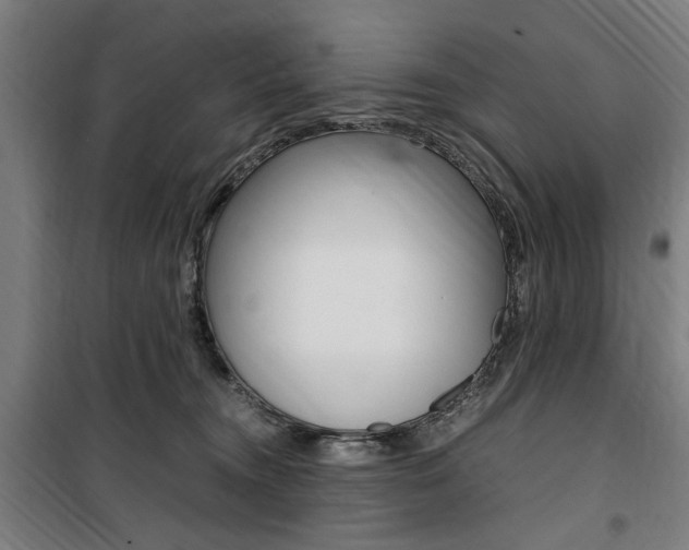 X0000100860372200806200844