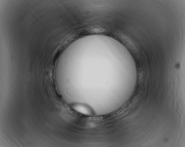 X0000100860373200806200844