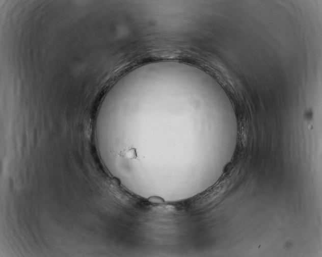 X0000100860374200806200844