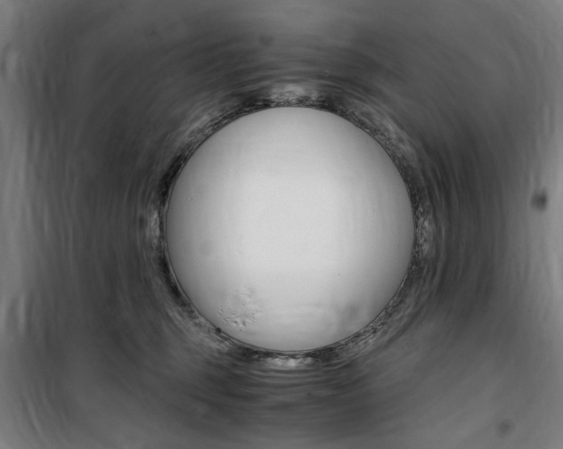 X0000100860375200806200844