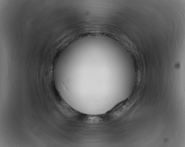 X0000100860376200806200844