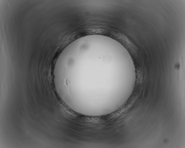 X0000100860377200806200844