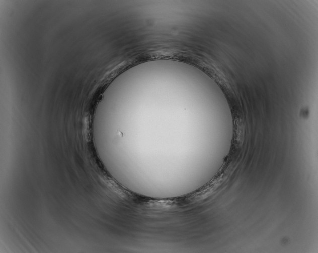 X0000100860378200806200844