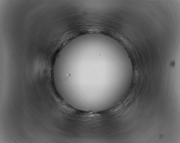 X0000100860379200806200844