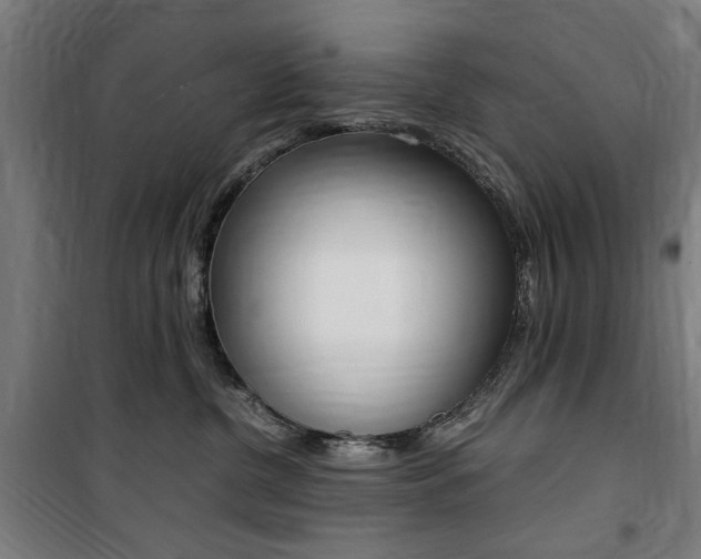 X0000100860380200806200844