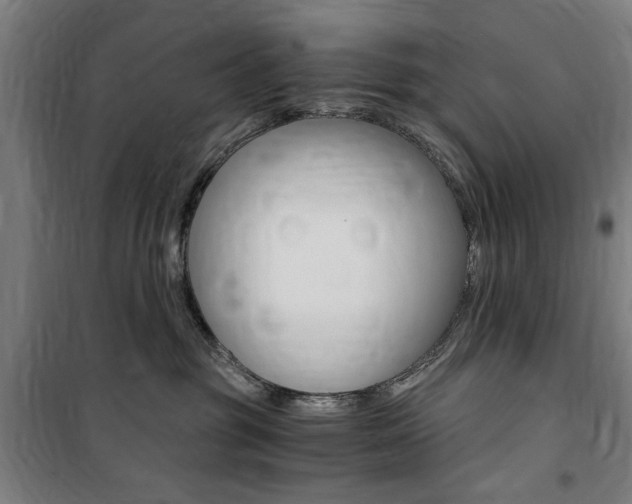 X0000100860381200806200844