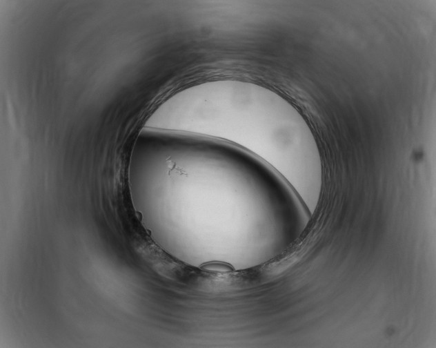 X0000100860382200806200844