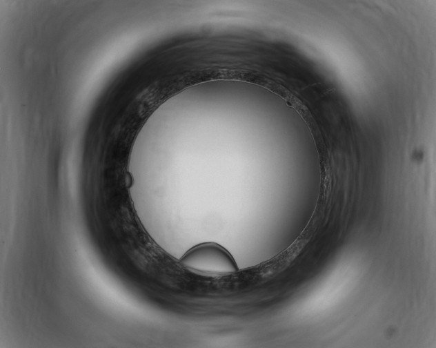 X0000100860383200806200844