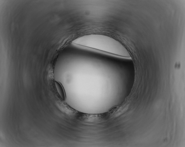 X0000100860384200806200844