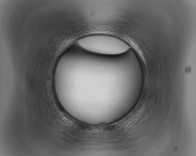 X0000100860385200806200843
