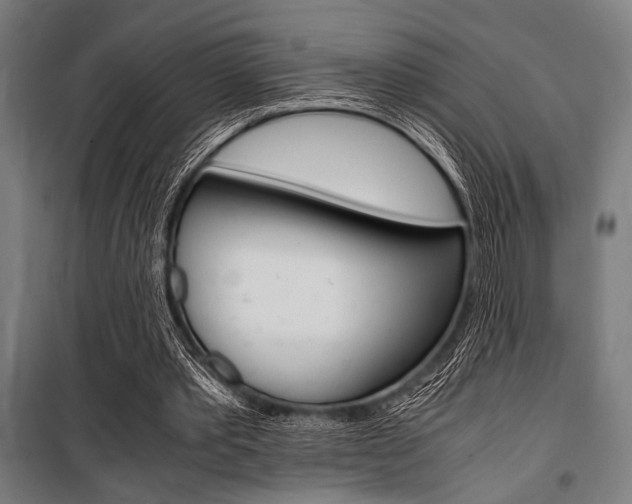 X0000100860389200806200843