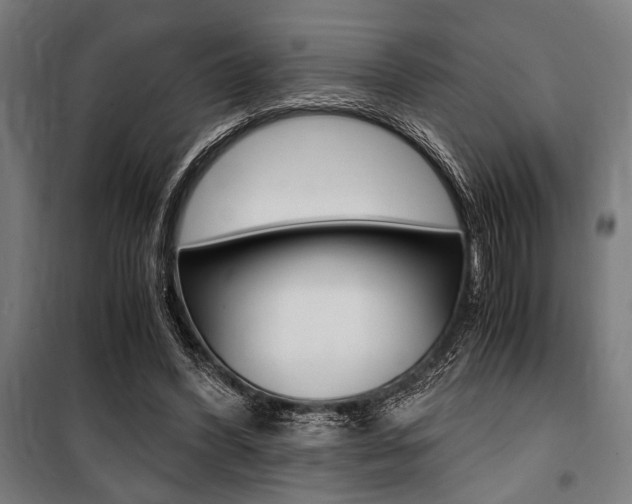X0000100860396200806200843