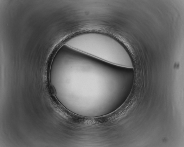 X0000100860399200806200843