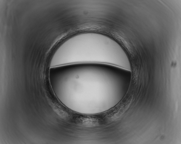 X0000100860400200806200843