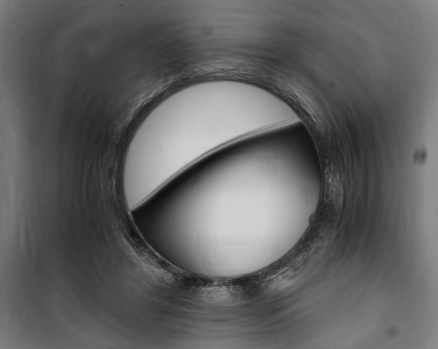 X0000100860404200806200843