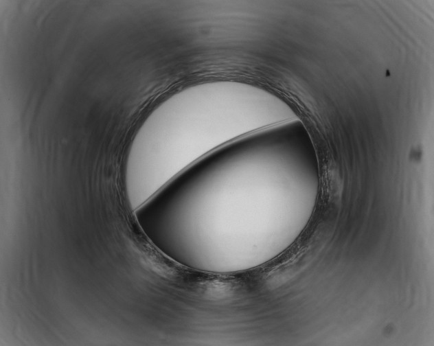 X0000100860412200806200843