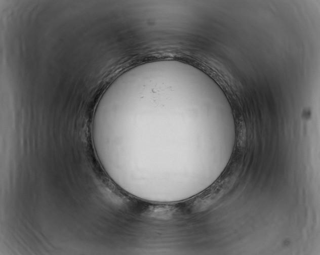 X0000100860414200806200843