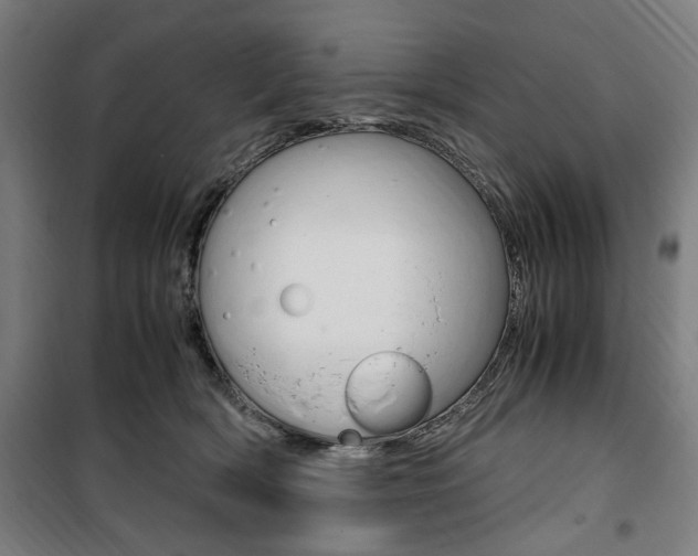 X0000100860418200806200843