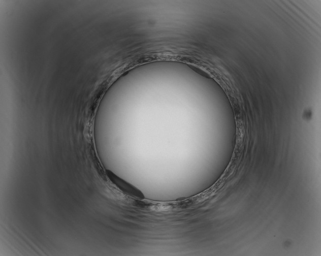 X0000100860419200806200843