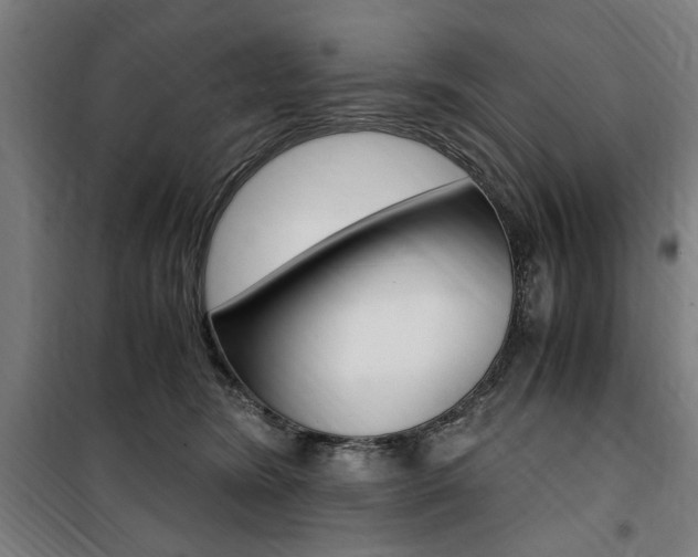 X0000100860420200806200843