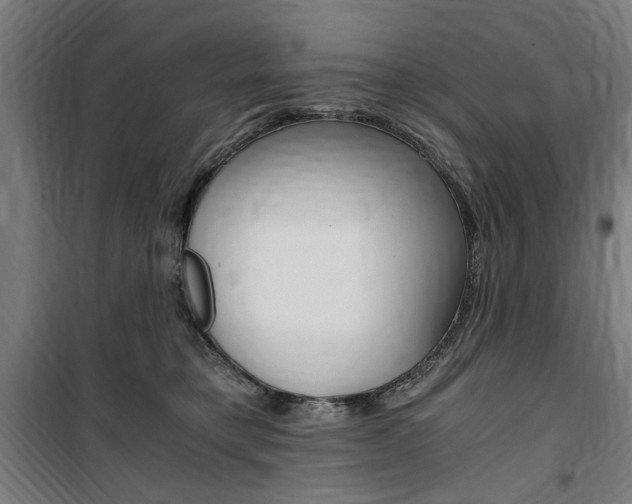 X0000100860421200806200843