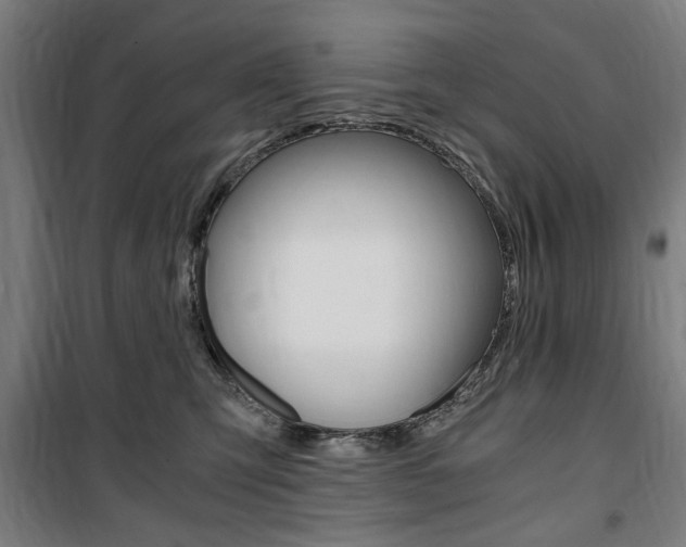X0000100860423200806200843