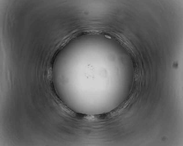 X0000100860425200806200843