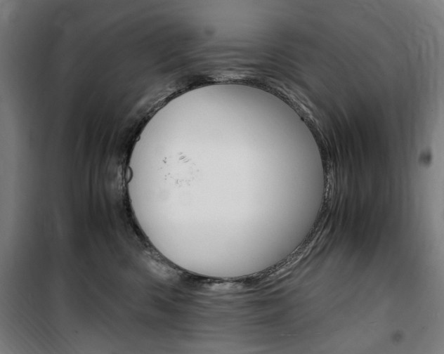 X0000100860426200806200843